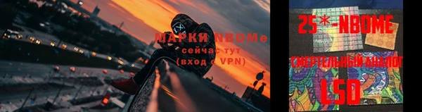 прущие грибы Алексин