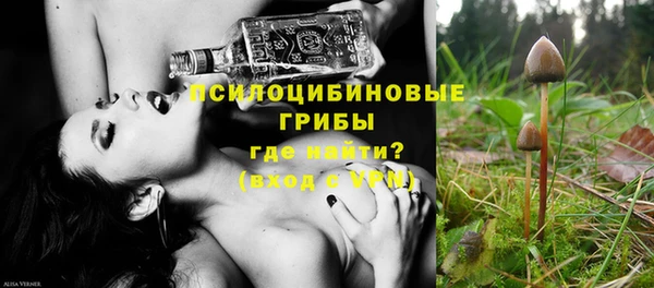 гашик Алзамай