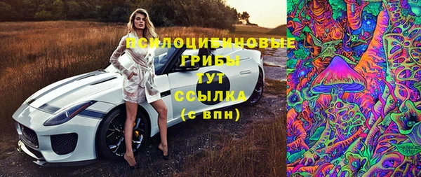 гашик Алзамай