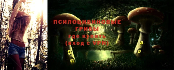 гашик Алзамай
