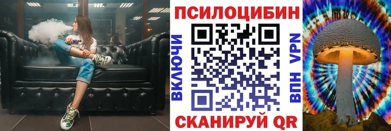Псилоцибиновые грибы мицелий мега как войти Алексин