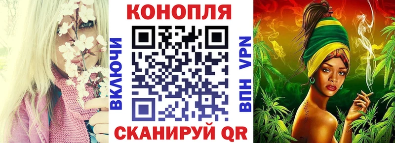 OMG зеркало  Алексин  Каннабис SATIVA & INDICA 